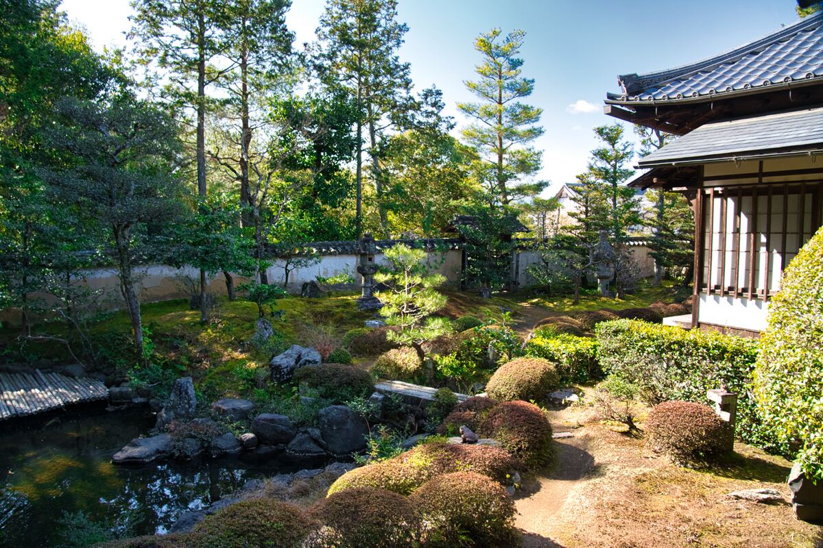 Traditional Japanese tea garden